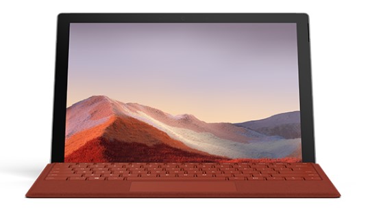 大东清洁和维护 Surface